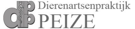 logo dppeize01
